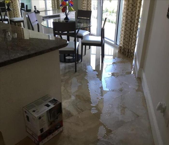 Water on the flood of a Boca Raton, FL home.